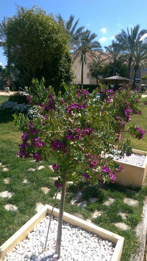 Golden Beach II خافييا المظهر الخارجي الصورة